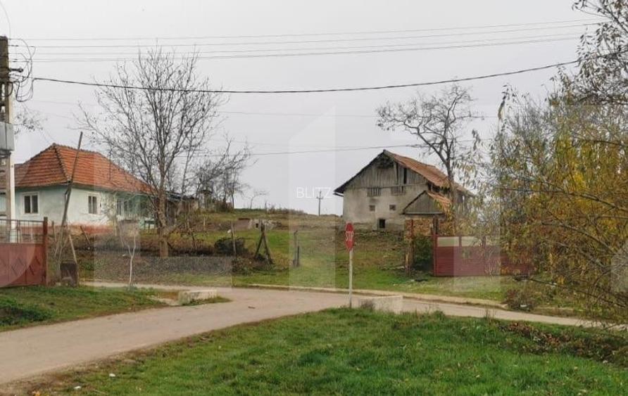 Investitie ! Casa individuala 1 camera, 51 mp, 3000 mp teren, Geaca ! - 2