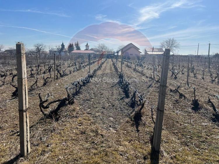 Teren intravilan Unirea Odobesti / Strada Grozesti - 6
