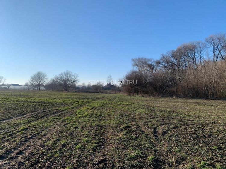 VAND TREN 1600MP, INTRAVILAN MAGURELE ILFOV - 2