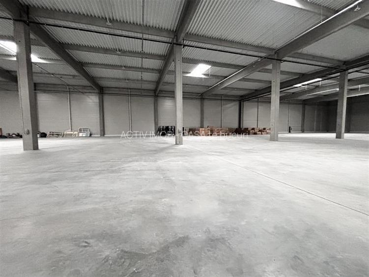 Hala Industriala Noua 2025 – Acces Rapid la Autostrada  - 7000 mp - 13
