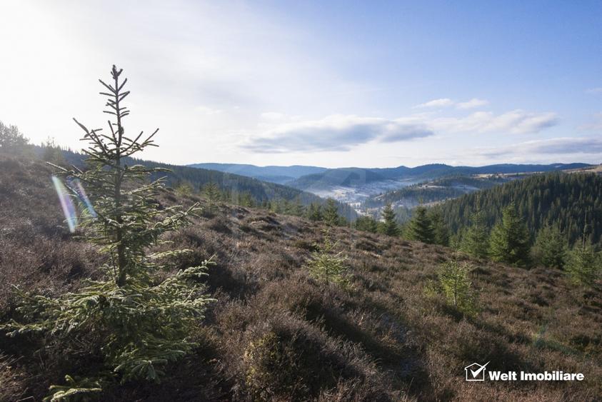 Eco Retreat Land in Apuseni Romania - Poiana Horea