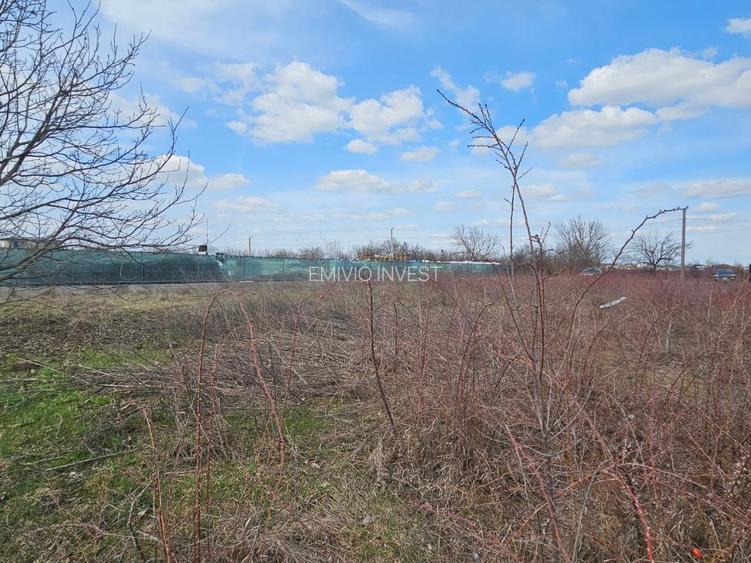Terenuri de închiriat cu deschidere la DJ 100 – suprafețe generoase, acces TIR. - 9