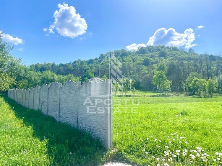 Teren intravilan, partial imprejmuit, eligibil grant- Pojoga, com. Zam - 8