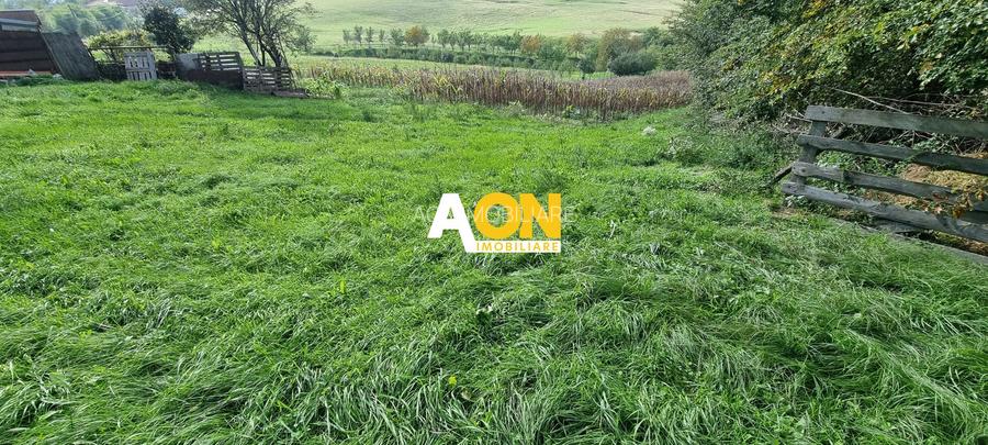 De vanzare 4003mp teren , Oarda de Sus - 4