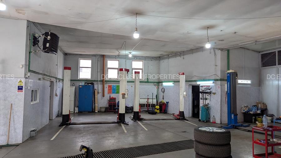 Teren 486 MP I Dubla Deschidere I Brancoveanu - 7