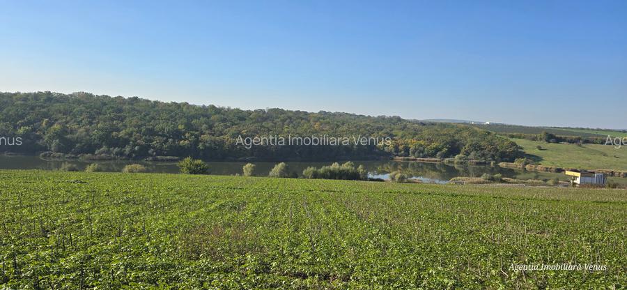 Locuri de casa la Lebada - 2