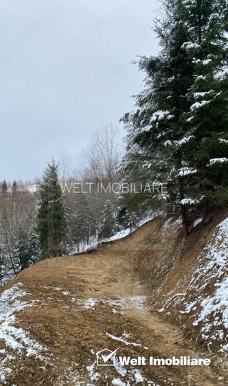 Teren de vanzare Marisel | Panorama & Intimitate - 6