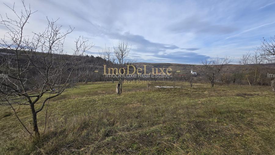 Teren intravilan, 6000mp, priveliste, comuna Baciu, zona Suceagu - 4