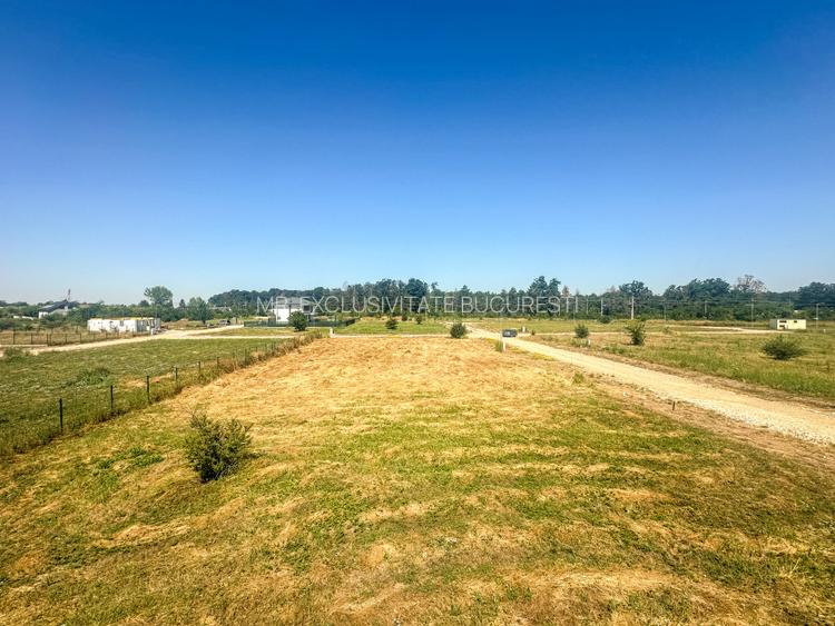 Teren 1116 mp gulia Eden Forest - 5