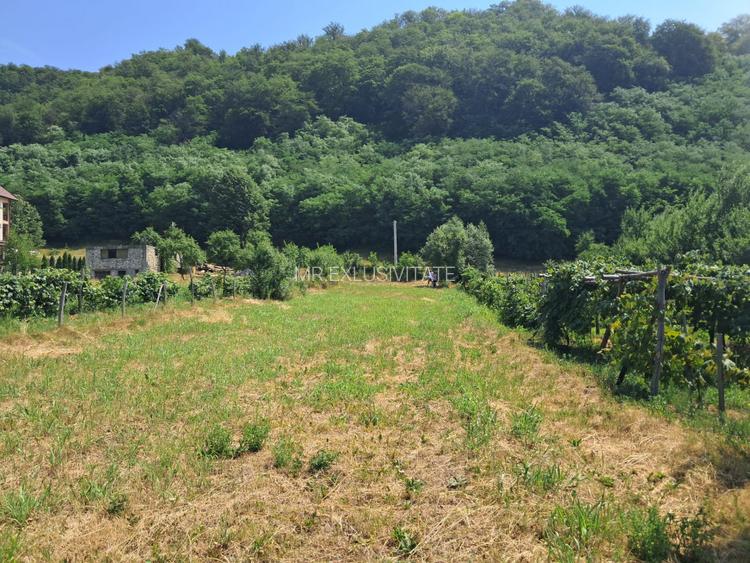 TEREN INTRAVILAN POLOVRAGI - 4