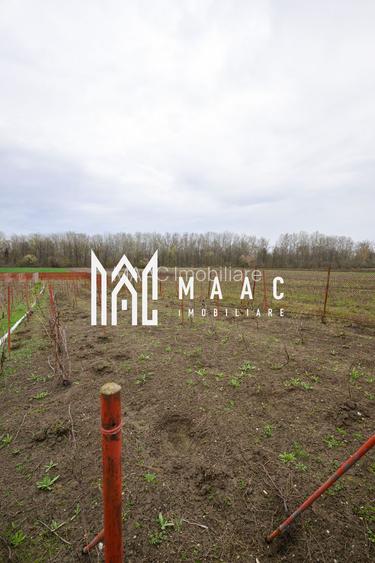 CASA DE VANZARE|  2087 MP TEREN| COMUNA FARTATESTI| - 13
