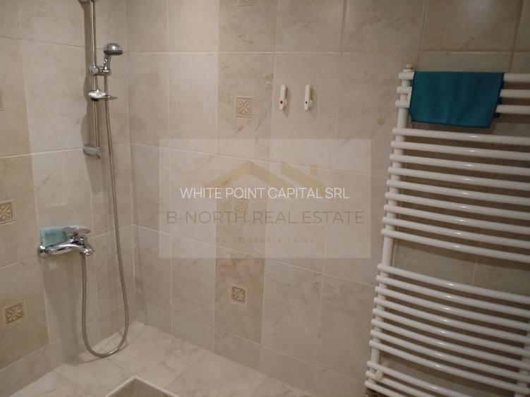 Spațiu comercial de închiriat în vilă , Zona Alba Iulia - 13