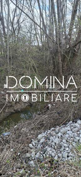 Vânzare teren intravilan 20.386 mp în Câlnic–traversat de râu, 19 km de Tg Jiu - 7