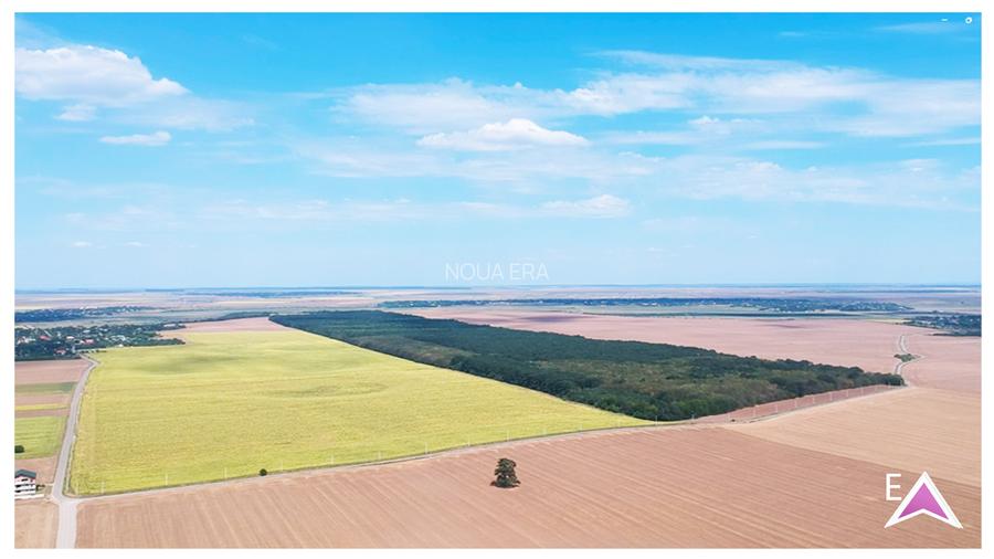 Intravilan în satul Popești. Zona Frumusani. Curent. Padure. Aer curat, liniste. - 3