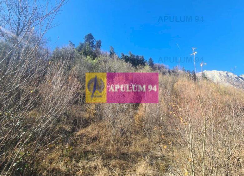 Teren intravilan de vânzare în Bușteni - Zona centrala - 9