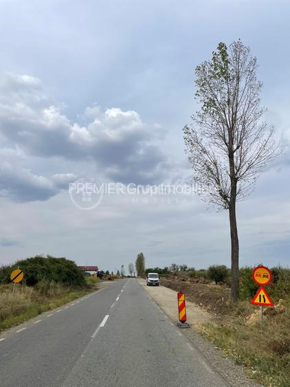 Teren 7.000mp, Miroslava - Liliac - 7