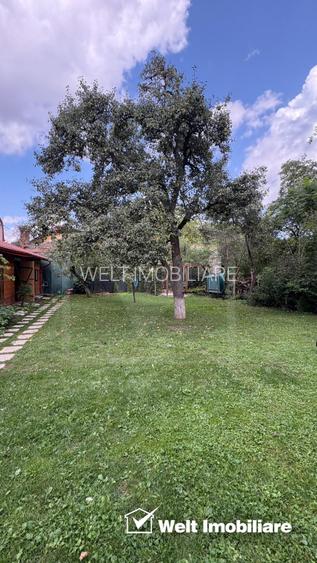 1 camera, zona BT Arena - 8