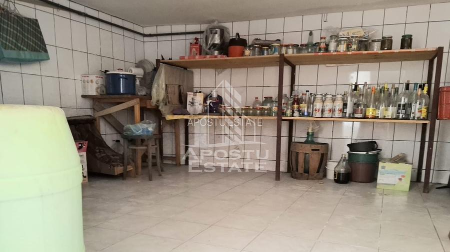 Casa Spatioasa cu Teren Generos in Vladimirescu - 25