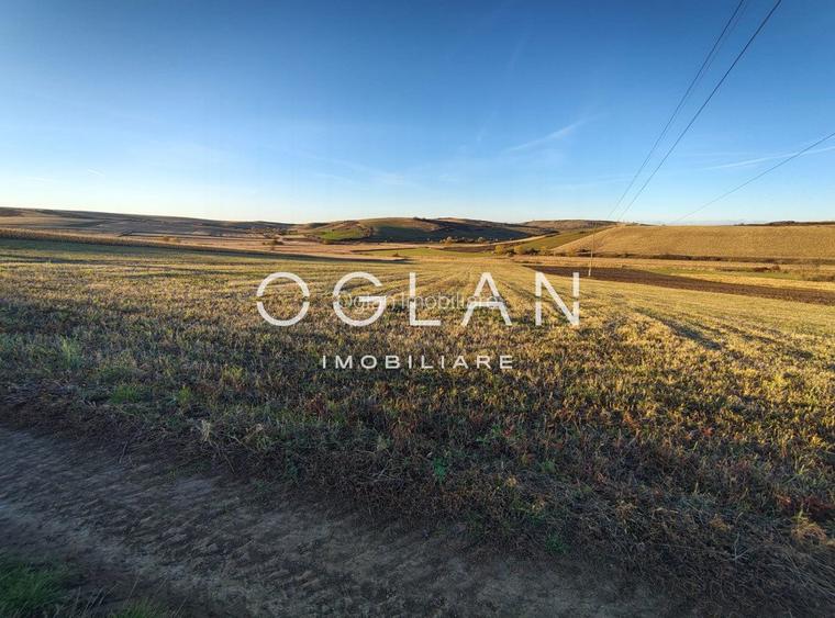 Teren intravilan cu PUZ pentru investitie - 26.100 mp - Sura Mare - 5