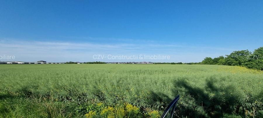 Ferma de Cultura Mare 1100 HA - 7