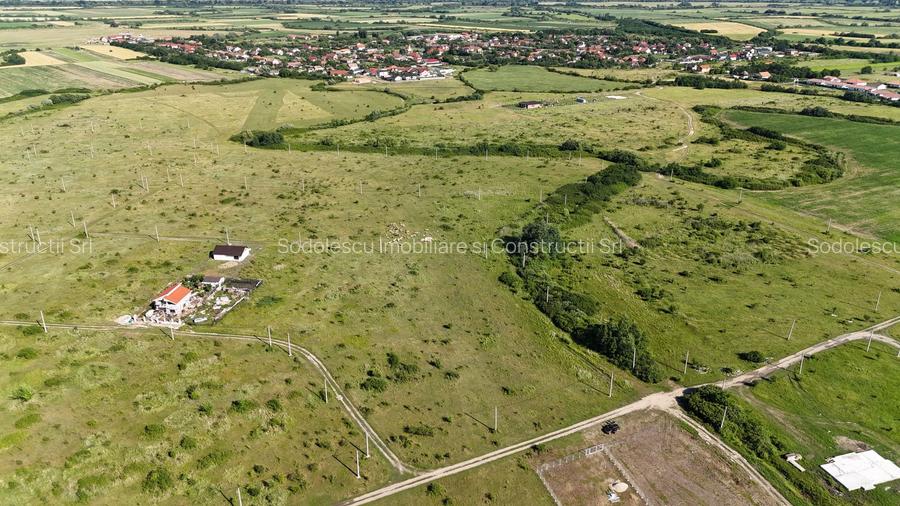 Terenuri zona  MOSNITA NOUA -  ALBINA . - 24