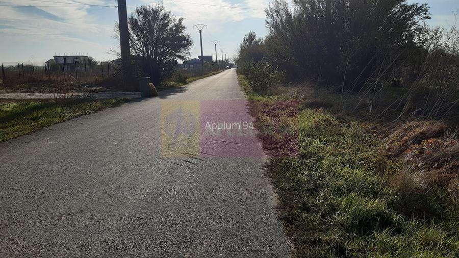 Teren la Asfalt cu utilități alături (Curent & Gaz) lângă București - 18