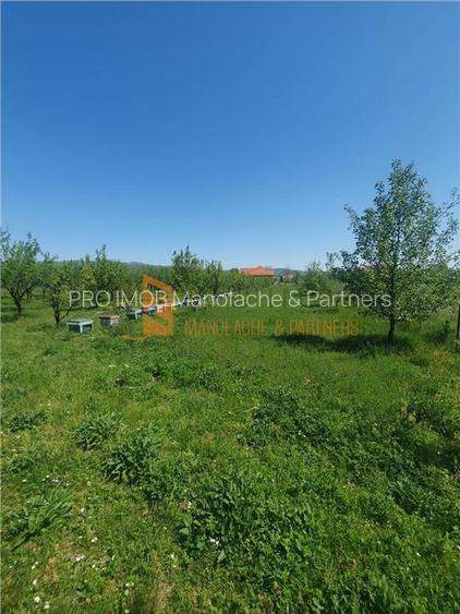 EXCLUSIVITATE! Casa cu teren zona Parscov - 22