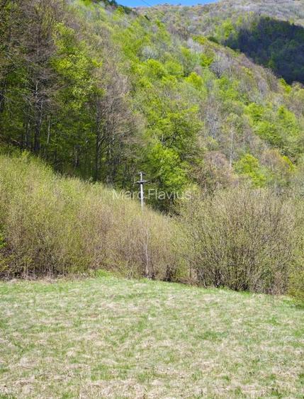 Vând teren intravilan Tarnița - Risca - Mărișel  jud. Cluj - 4