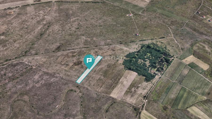 Teren extravilan de 10.000 mp - 5