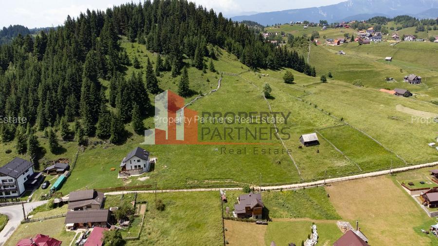 Teren Fundatica intravilan 4500 mp - 4