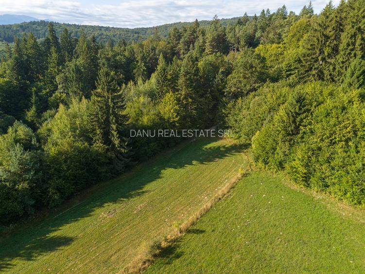 Teren intravilan 3300mp- Vulcan Brasov langa Lac si padure - zona turistica - 9