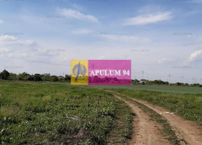 Teren investitie Ilfov - 4