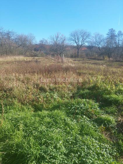 CASĂ PĂLTINIȘ\JUD. CARAȘ-SEVERIN\ COMISION 0% - 24