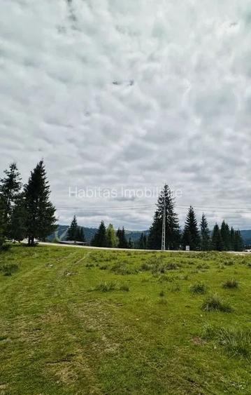 Teren drept de 1342 mp cu front 24 m Belis - 4