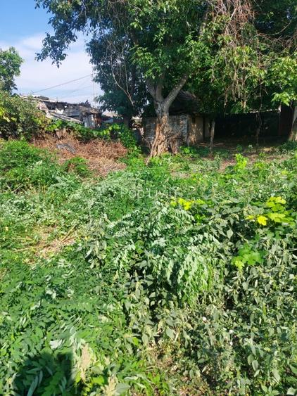 Casa de vanzare in Arad - 11