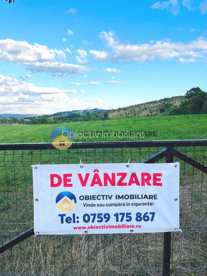 TEREN intravilan  3511 mp - BĂLȚĂTEȘTI - 11