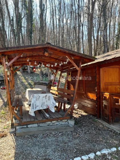 Spre vanzare cabana+ teren intravilan 1050mp pretabil casa de vacanta/locuinta - 12