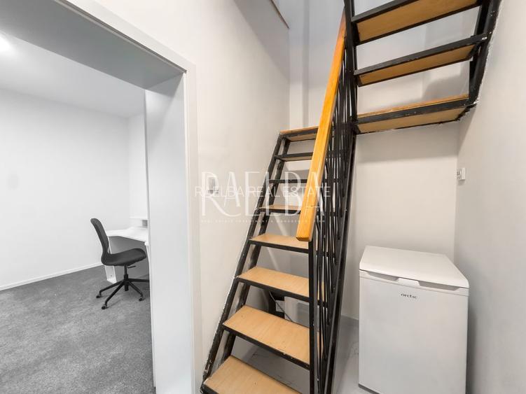 Casa 4 camere | Banu Manta | Domenii | Victoriei | Kiseleff - 17