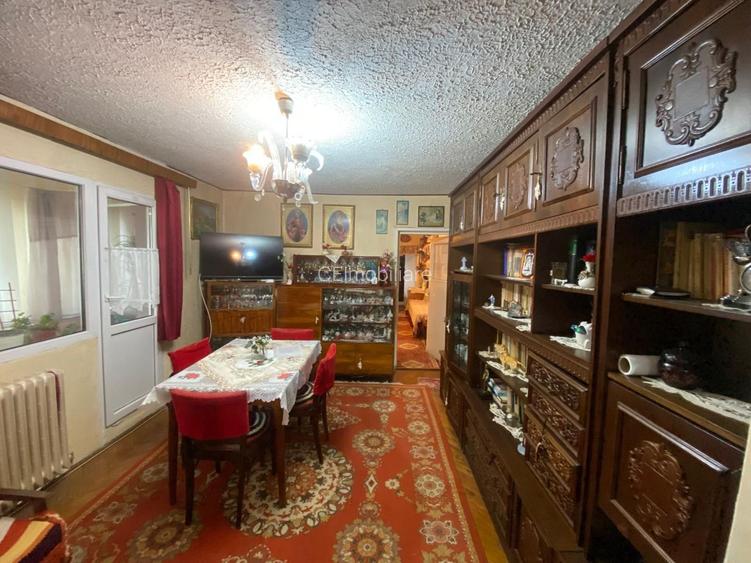 Apartamente 3 camere de vânzare Lugoj - 5