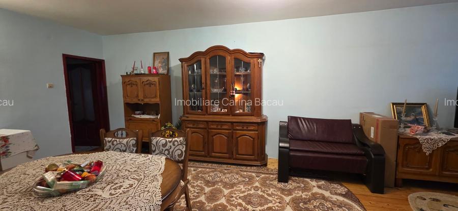 Serbanesti Vila cu toate utlitatile - 10