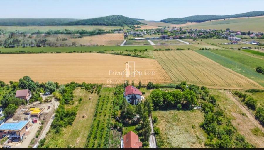 Vila/Proprietate Speciala, 500mp utili, 3300mp teren, Sangeorgiu de Ms - 21