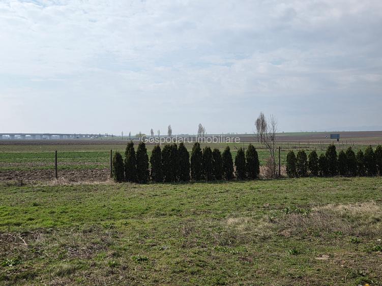 Casa P+1 zona PECO Bejan - drumul Ruginestiului - - 13