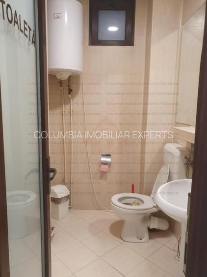 Lacul Tei spatiu comercial  stradal - 15