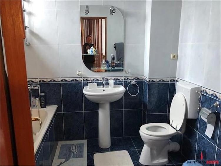 Vila de vanzare   Iancu Nicolae   Serban Cantacuzino - 17