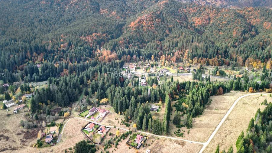 Poiana lui Manole - teren Intravilan - 34