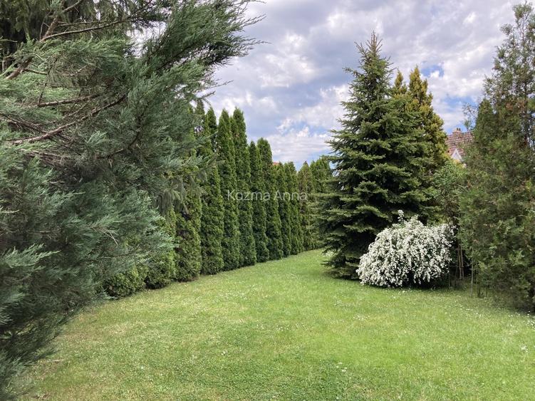 În Gyula, două proprietăți imobiliare de vânzare în zona turistică  - 7