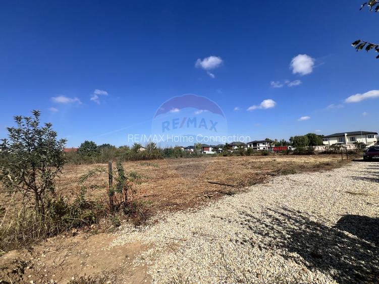 Teren ideal pentru casă de vis în Mogoșoaia – 849,3 mp, cu utilități - 13