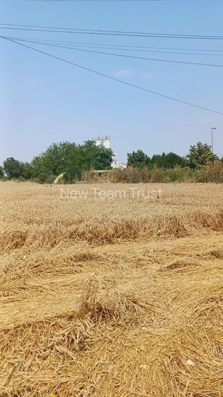 Tamasi Teren Intravilan  - Arges Teren Intravilan Industrial 12 ha - 2