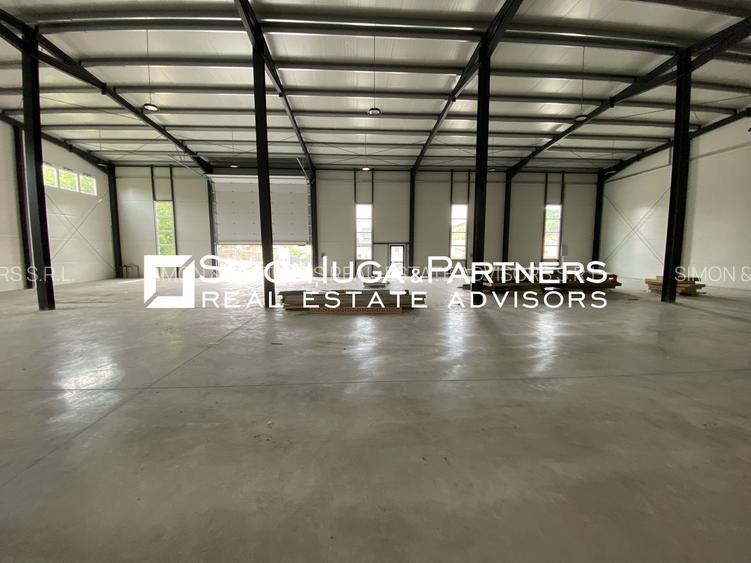 Hala nou construita 2025 de inchiriat - 6