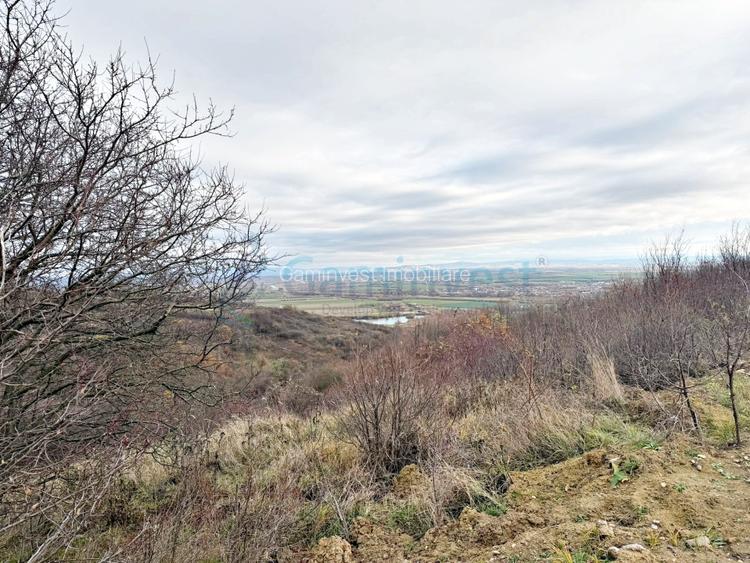 Parcela de teren extravilan, langa padure, zona Gheorghe Doja, Oradea - 4